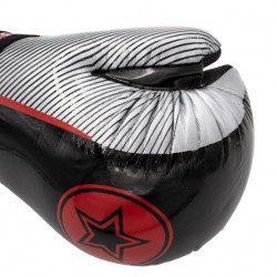 Перчатки TOP TEN Pointfighter Glossy Star & Stripes