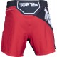 Шорты ММА TOPTEN Fight Team